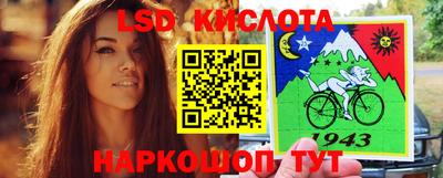 амф Можга