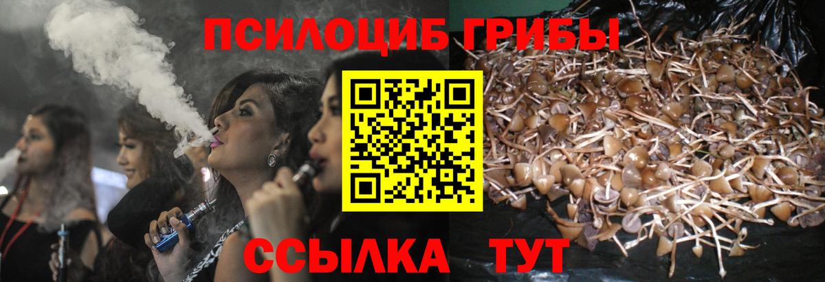 Псилоцибиновые грибы GOLDEN TEACHER  Вход с VPN  Стрежевой 