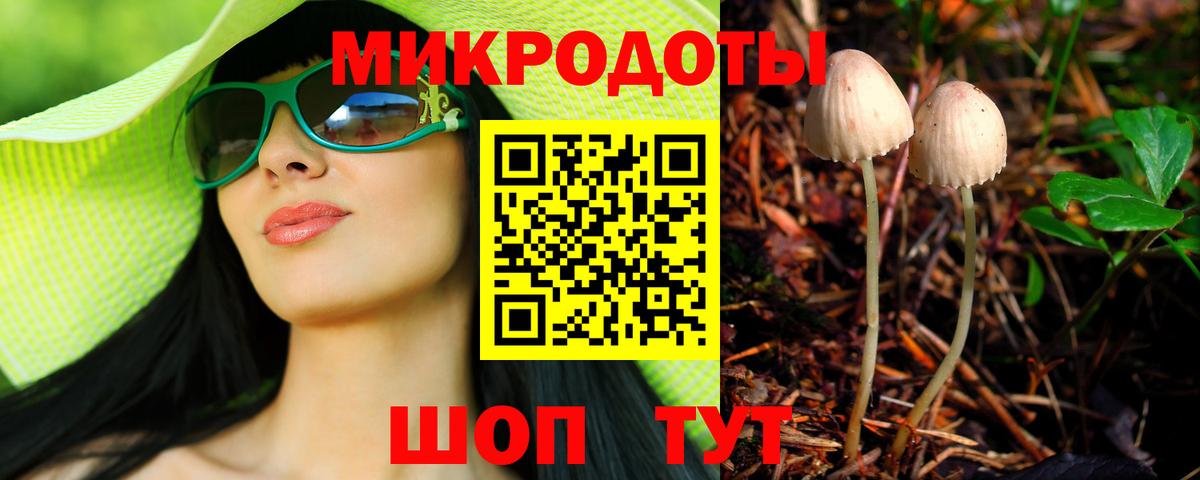 Псилоцибиновые грибы прущие грибы Стрежевой